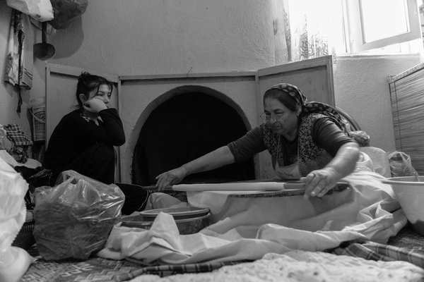 Sélection de mets du jour et vins : une expérience culinaire unique